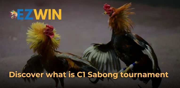 Discover what is C1 Sabong tournament