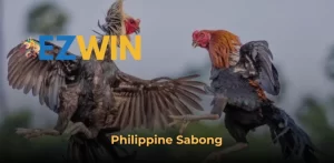 Philippine Sabong