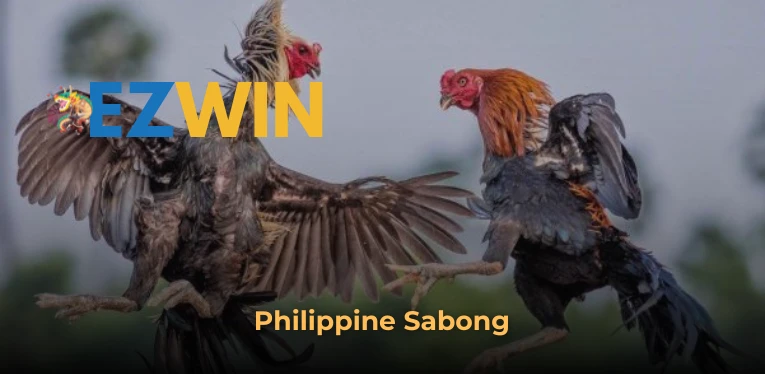 Philippine Sabong