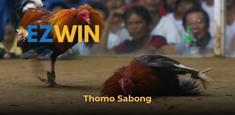 Thomo Sabong