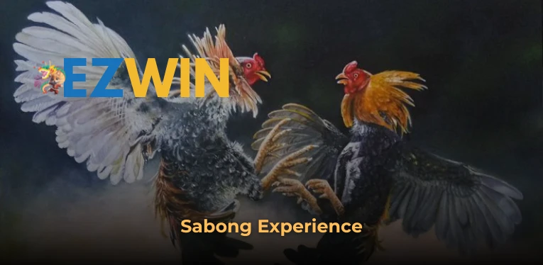 Sabong Experience