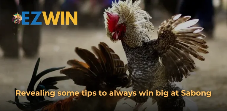 Revealing some tips to always win big at Sabong