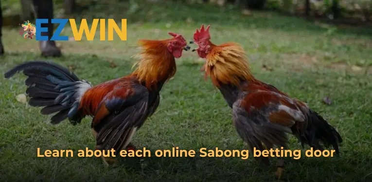 Learn about each online Sabong betting door