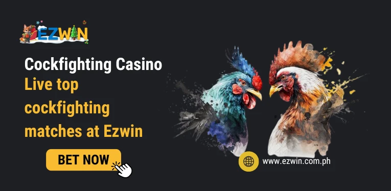 Cockfighting Casino